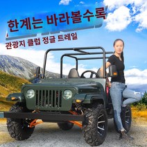 ATV 사륜바이크 사륜 오토바이 전동차 전지형 250축 전동 오프로드 타이거 울프 돌격차 카트, 1500W축전동 전동모델