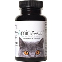 아미나바스트 강아지 고양이 신장 영양제 신부전 60캡슐 AminAvast, 신장 영양