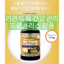 잇몸염증 헛기침 목관리 먹는약 입안이헐었을때영양제 목관리영양제 먹는프로폴리스 면역력높이는, 1개