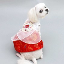 강아지한복 애견한복 모음 강아지옷 고양이한복 대형견한복 초소형에서 대형견까지 XS-5XL, 01개량-레드