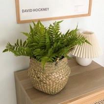 보스턴 야자수 이케아인조식물 - 데스크테리어 고사리 부쉬 나무 화분 조화 인테리어 노무라, 상세페이지 참조, 상세페이지 참조