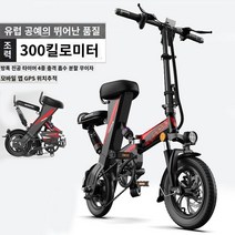 샤오미 접이식 전동 전기 자전거 미니벨로 전기자전거 펫바이크 삼륜 세발 합금 가성비 배달용 스쿠터 이륜차 사이클, 모터 수리 부품, A