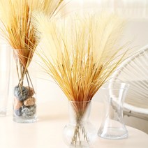 인조 갈대조경 인테리어 조화장식 핑크뮬리 포토존 1대 팜파스 소형 5P세트, 1대팜파스(소)5P세트 아이보리