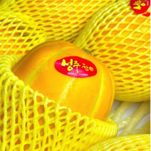 프룻맨 성주 꿀 참외 3kg 5kg 고당도 골드참외 선물용 가정용 꼬마 못난이, 선물용 (정품), (정품) 프리미엄 선물 10kg, 1개