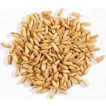 귀리쌀 오트밀 통귀리 귀리 잡곡, 1개