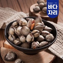 신선함을 가득 담은 여수 제철 새꼬막 1kg, 단품