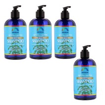 Rainbow Research 천연 무칼라 헤나 추출물 Henna 및 비오틴 허브 샴푸 360ml 4개