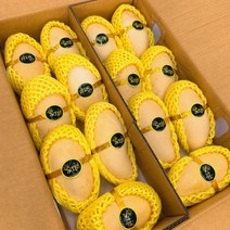 비교불가 특대사이즈 태국망고 선물세트 골드망고, 태국망고 5kg (14과수내외)