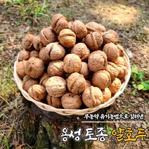 국산 토종 알 호두 500g 1kg 국산 햇호두 김천호두 호도, 국내산 토종호두 (중소)500g (호두까기 포함)