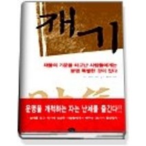[개똥이네][중고-상] 재기