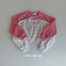 일센치 토리크롭니트