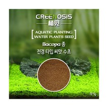 그린오시스 전경 씨앗수초 [9g], 단품