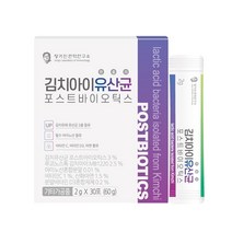 정가진면역연구소 김치 아이 유산균 포스트 프로 바이오틱스 30포
