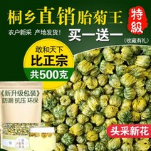 국화차 동향태국왕두채특급정종항백국화탈화국화차500g산장신화