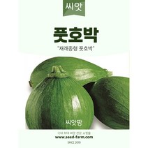 풋호박 씨앗 (30립)