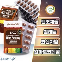 엔조라이프 안티옥시던트 엔조제놀 셀레늄 코엔자임큐10 아연 식물성 60캡슐 약2개월분, 2박스