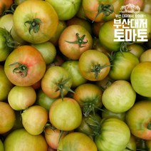 [힛더스팟 내입에] [내입에] 부산 대저토마토 못난이 가정용 2.5kg(★랜덤/L M S, 상세 설명 참조