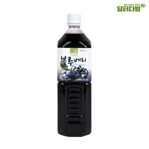 차그림 쥬스베이스 블루베리원액 1000ml, 단품, 단품