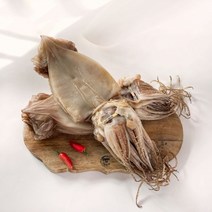 식감이 살아있는 반건조 오징어 대(10미) 소(10미)