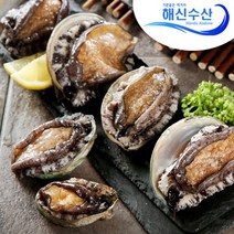 해신수산 완도활전복 삼계탕용 10~12마리 500g_1~2인용, 없음, 상세설명 참조