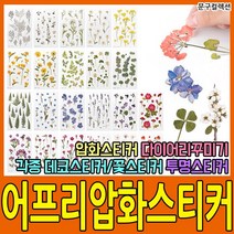 어프리압화스티커 35종 꽃스티커 다이어리꾸미기 다꾸 책갈피 누름꽃 데코스티커 투명스티커, 담쟁이