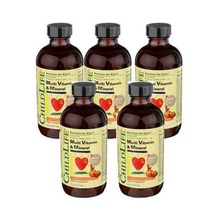 차일드 라이프 [5개 SET] 종합 비타민 & 미네랄 8 Fl.Oz. (237ml) ChildLife Multi Vitamin Mineral Fl Oz, 1개, 237ml