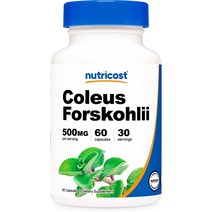 뉴트리코스트 콜레우스 포스콜리 500mg 캡슐, 60개입, 1개, 60정