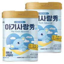 남양 아기사랑수 더 퍼스트 어드밴스 분유 1단계 750g 2개