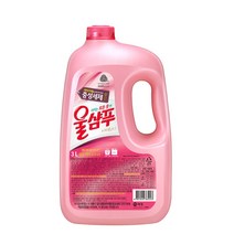 울샴푸 이지워시 중성세제 본품, 3L, 1개