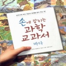 [개똥이네][중고-상] 손에 잡히는 과학 교과서 4 - 바다