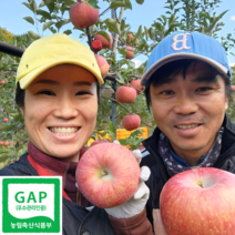 사과10키로 흠집 사과 쥬스용 가정용 10kg 5kg, 흠과 부사 10kg