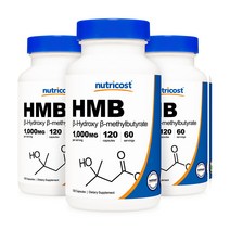 HMB 500 mg 120캡슐 3병, 단품