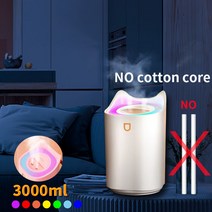 3L 에어 가습기 오일 아로마 확산기 듀얼 노즐 밴드 컬러 LED 램프 초음파 테라피, 흰색 무등심 러시아 연방