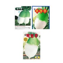 농가왕무 백청무 추성무 가을무 김장무씨앗 종자 무씨앗, 백청무(25g)