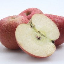 22년 햇 영동사과 3kg (부사 12-15과) 아삭하고 맛있는 영동사과, 단품