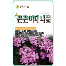 끈끈이대나물 1g - 야생화 씨앗 꽃씨 씨 꽃씨앗 끈끈이대나물씨앗 끈끈이대나물씨 야생화씨 야생화씨앗 꽃, 10_다농_끈끈이 대나물(1g)