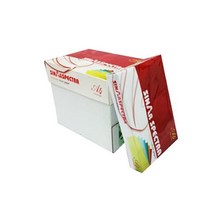 [이쏘] 스펙트라 색지 A3 80g 1BOX 2500매/a3용지 11964EA, 쿠팡 분홍