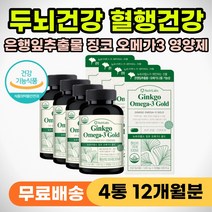 기억력 저하 개선제 두뇌건강 손발 저림 개선 영양제 징코 은행잎 추출물 오메가3 혈행 순환 개선 혈액 인지력 도움 뇌건강 팔 다리 손가락 저릴때 60대 70대 80대 건강 선물
