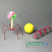 바이러스 모형 만들기 4인세트과학수업 키트 실험교구 영재 미생물, 본상품