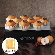 청년농부 나주배 선물세트 5kg (9-10과)