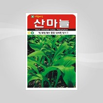 슬로시 채소 씨앗 산채 씨 종자, 산마늘50립(아람)