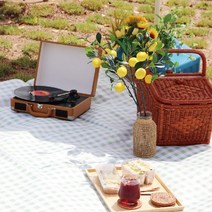 세련된 체크무늬 디자인의 돗자리/캠핑돗자리/옥스퍼드돗자리/피크닉매트 대형, 민트 대형