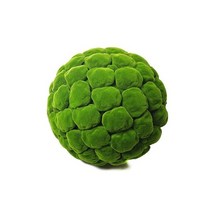 비바리움 이끼테라리움 액자 10-25cm 인공 식물 이끼 공 장식 잔디 공 시뮬레이션 식물 공 홈 야외 정원 바 웨딩 장식, c-15cm