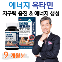 에너지 옥타민 옥타코사놀 비타민B 하루한알 항산화 비타민C 지구력 증진 도움 에너지 생성 면역 아연 직장인 회사원 택배 택시 버스 배달 운전 기사 현장직 사무직 일용직 남성 여성, 3통, 1256mg x 90정 (하루 1정)