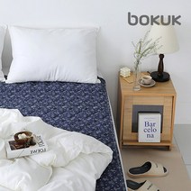 보국 에어셀 스타스퀘어 워셔블 전기요 BKB-1609S 1인용 (2022년형) 전자파안심, BKB-1609S (싱글/1인용)