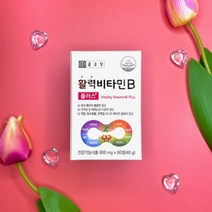 날송건강 종근당 비타민 B 비 군 b1 b2 b6 b12 활력 영양제 알약, 2박스(4개월분)