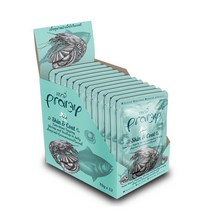 프라미 고양이 습식 간식 대용량 파우치, 어덜트 스킨&코트, 12개