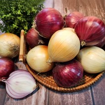 친환경 마음밭 국내산 유기농 무농약 노지 햇 자색 흰 양파 3kg 5kg 10kg, 흰양파(소) 5kg