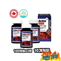 임산부 출산후 철분제 에너지 르산 제일철 제제 산모 초기선물 철 보충제