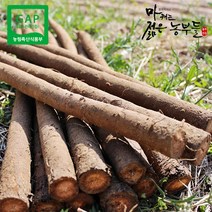 [초록한입] 국내산 유기농 통우엉 500g + 양배추즙 1포